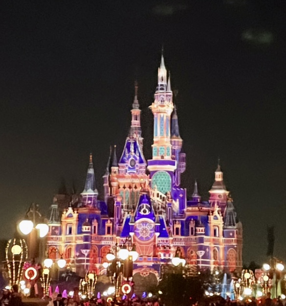 Disney $100^{th}$ Year Anniversary Night